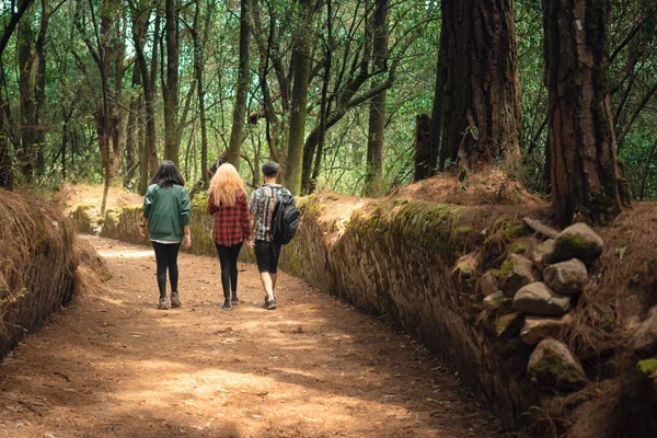 Trois Amis Marchant Sur Une Vieille Route Dos Caméra — Photo