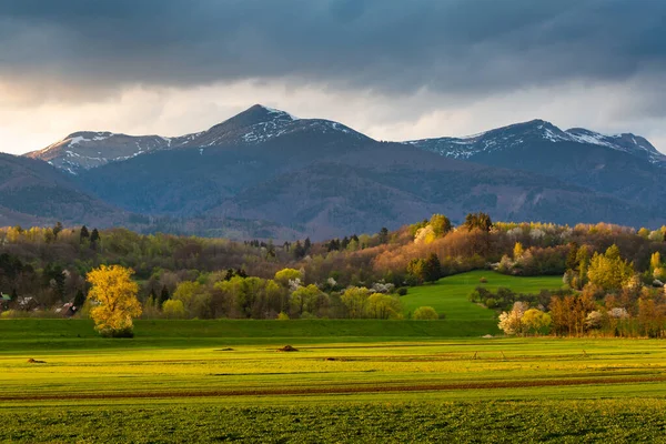 Spring Woodland Foothills Mala Fatra Mountains Slovakia — Stock Photo, Image