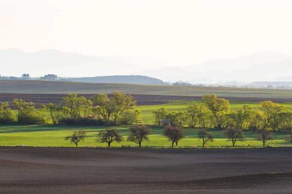 北部スロバキアのTuriec盆地の農村風景 — ストック写真