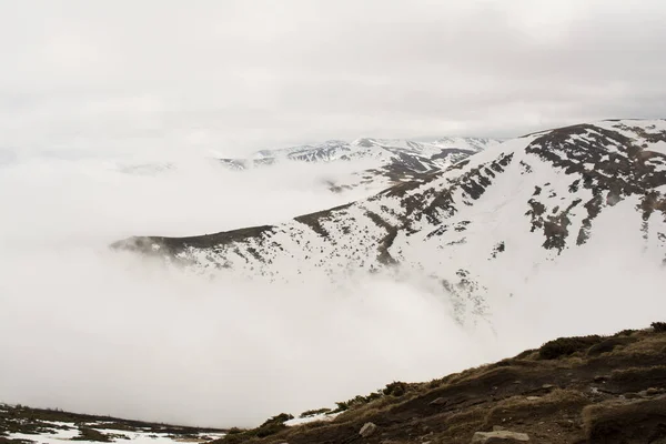 Lkbaharda Hoverla Dağı Manzarası — Stok fotoğraf