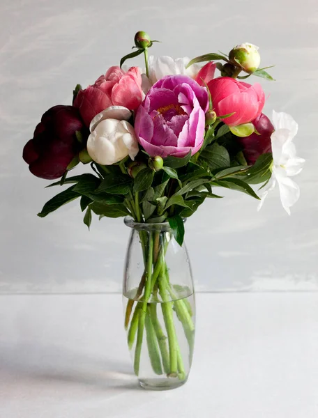 ピンクの家栽培の花牡丹花束 — ストック写真