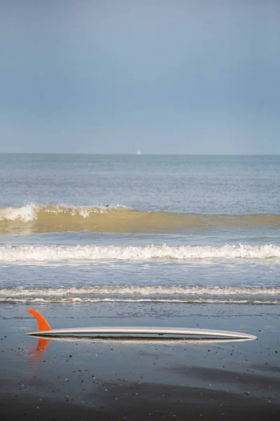 Серфінг Апельсиновим Фінішем Лежить Пляжі — стокове фото