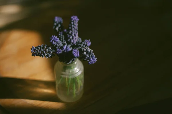 Een Antieke Glazen Vaas Houdt Een Boeket Druivenhyacint Bloemen Schaduw — Stockfoto
