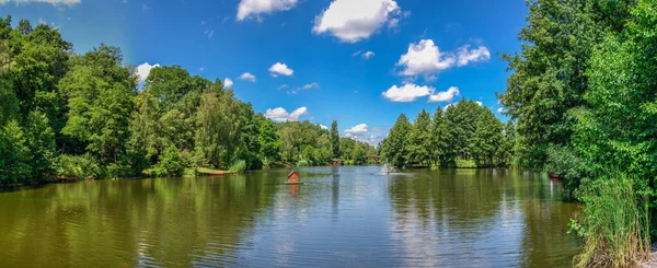 ウクライナのキエフ07 2020 晴れた夏の日に ウクライナのキエフのメジヒリヤ邸に噴水のある大きな池 — ストック写真