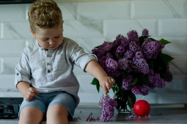 Fiú Éves Játszik Orgona Virágok — Stock Fotó