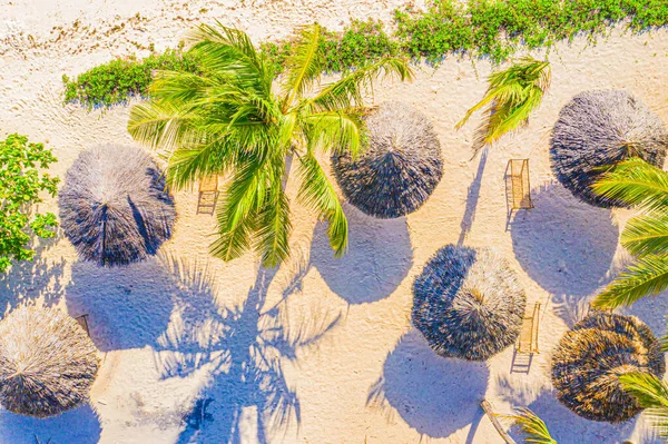 Luchtfoto Van Palmen Het Zandstrand Van Indische Oceaan Bij Zonnig — Stockfoto