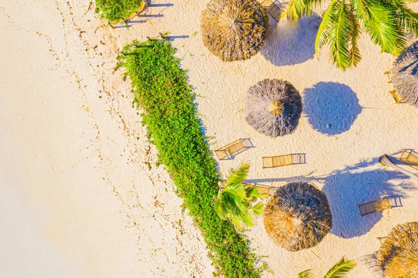 阳光普照的印度洋沙滩上棕榈树的空中景观 — 图库照片
