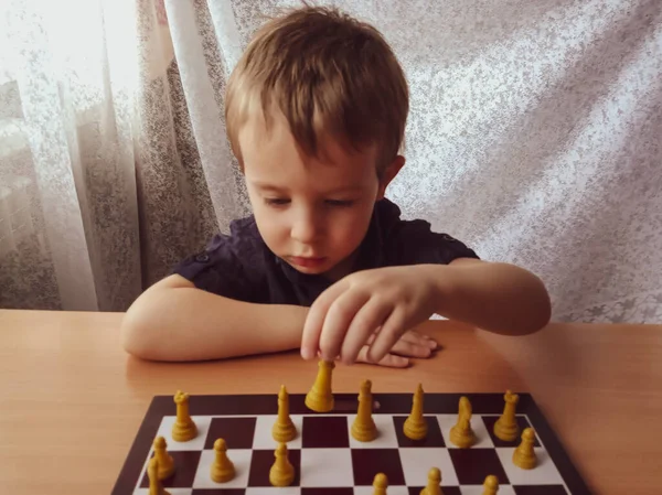 O Grandmaster Do Novato Com Gatinho Brincalhão Joga a Xadrez Foto de Stock  - Imagem de infância, pelaria: 93275426