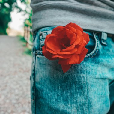 Sevgililer günü için cebimde güzel kırmızı gül çiçeği