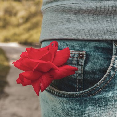 Sevgililer günü için cebimde güzel kırmızı gül çiçeği