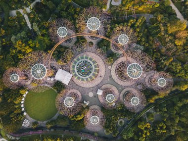Singapur 'da güneş doğarken Supertree Grove' un yeşil bahçesinin havadan görünüşü.
