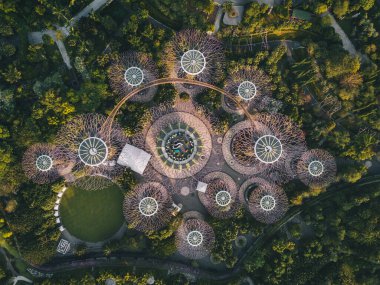 Singapur 'da güneş doğarken Supertree Grove' un yeşil bahçesinin havadan görünüşü.