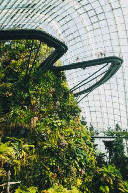 İnsanlar açık gökyüzüne ve cam tavana karşı Çiçek Kubbesi 'nin içinde asılı yollarda yürüyorlar, Singapur.