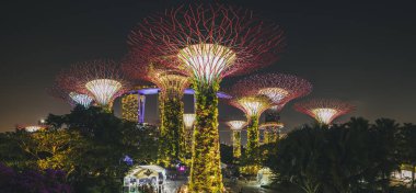 Gece vakti Supertree Korusu 'nun yanındaki bahçelerin panoramik manzarası. Aşağıdan yukarıya, Singapur' a ışık gösterisi..