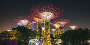 Gece vakti Supertree Korusu 'nun yanındaki bahçelerin panoramik manzarası. Aşağıdan yukarıya, Singapur' a ışık gösterisi..