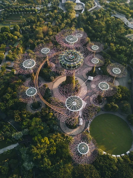 Vista Aérea Del Jardín Verde Supertree Grove Durante Salida Del — Foto de Stock