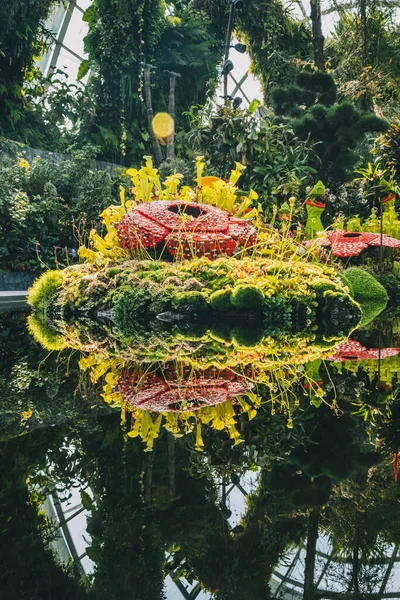 Reflejo Flores Redondas Rojas Lego Singapores Flower Dome Greenhouse — Foto de Stock