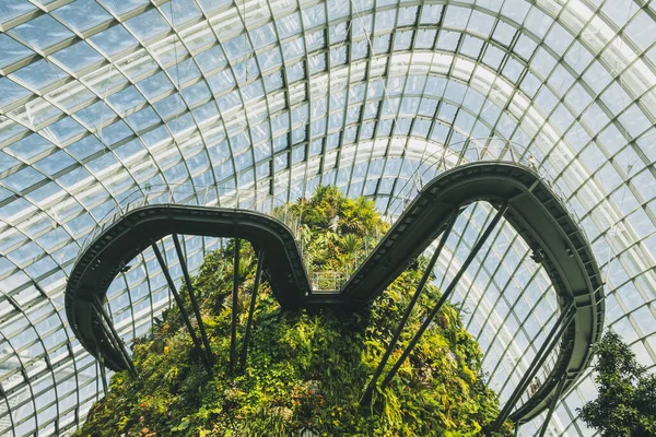 Caminando Por Senderos Colgantes Dentro Del Invernadero Flower Dome Contra — Foto de Stock