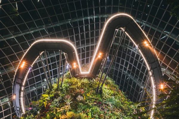 Wanderwege Gewächshaus Flower Dome Mit Grüner Pflanzenvielfalt Singapur — Stockfoto