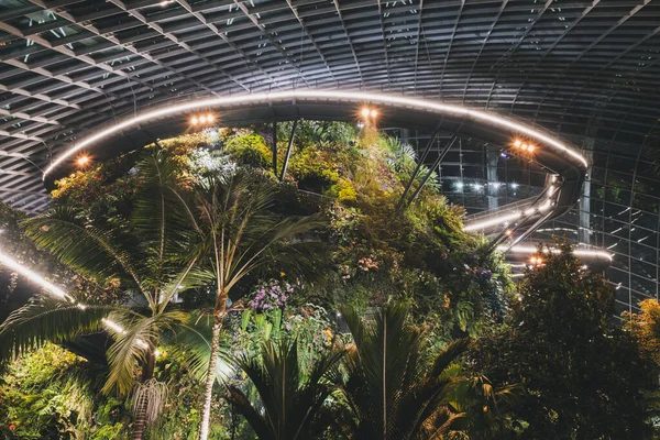 Ścieżki Spacerowe Wewnątrz Flower Dome Greenhouse Zieloną Różnorodnością Roślin Singapurze — Zdjęcie stockowe