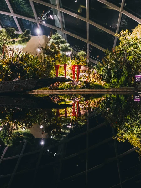 Reflejo Del Lago Dentro Del Invernadero Flower Dome Por Noche — Foto de Stock
