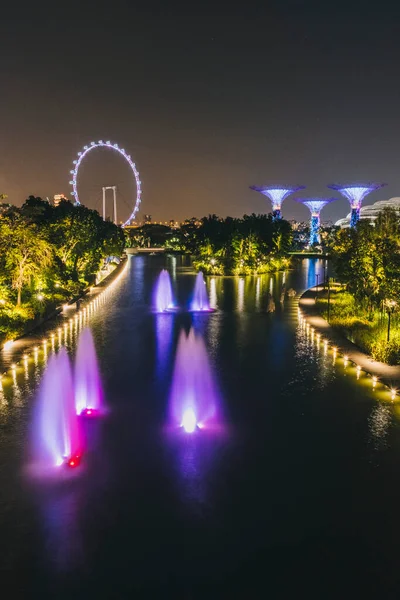 Flyer Singapore Pozorovací Kolo Supertree Grove Osvětlené Noci Singapuru — Stock fotografie