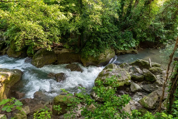 Río Bosque Que Viene Cascada Del Marmore — Foto de Stock