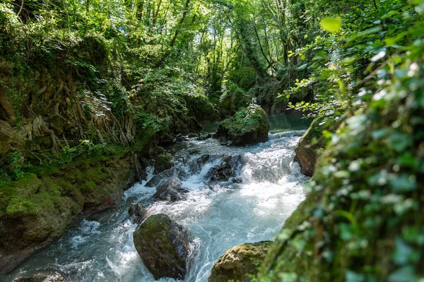 Río Bosque Que Viene Cascada Del Marmore — Foto de Stock