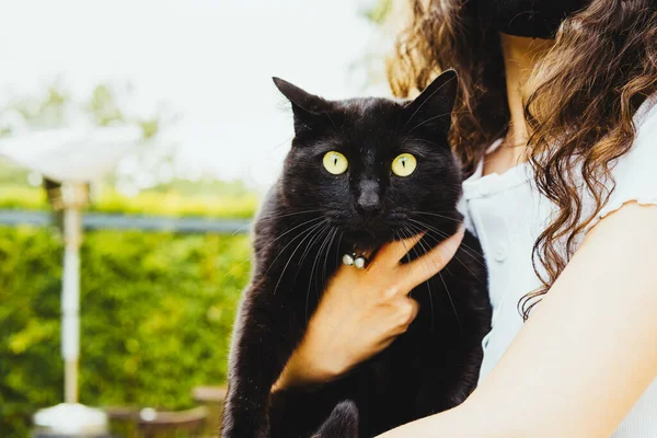 抱着绿眼睛黑猫的女人 — 图库照片