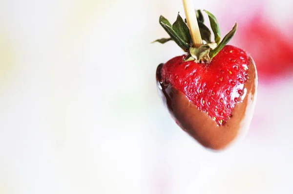 Jahody Tvaru Srdce Čokoládě Lehkém Pozadí — Stock fotografie
