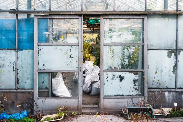 Invernadero Vidrio Abandonado Con Plantas Tropicales —  Fotos de Stock