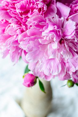 Vazoda tomurcukları olan pembe şakayıklar.