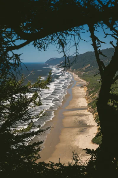 Uitzicht Van Hoog Boven Een Strand Omlijst Door Bomen — Stockfoto