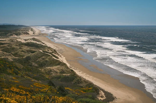 Splendida Spiaggia Dell Oregon Una Giornata Soleggiata — Foto Stock