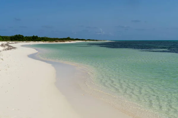 有白沙和加勒比海的荒漠热带海滩 墨西哥科苏梅尔岛 放松的理想地方 — 图库照片