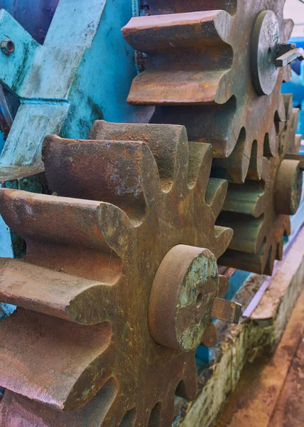 Grote Tandwielen Van Blauwe Agave Slijpmachine Tequila Produceren — Stockfoto