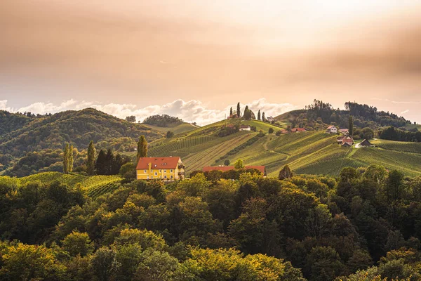 Styrian Tuscany Vineyard sonbaharda Eckberg, Gamliz, Styria, Avusturya yakınlarında. Şarap severler için turistik bir yer..