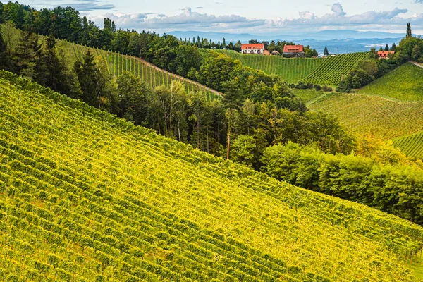 Styrian Tuscany Vineyard Autumn Eckberg Gamliz Styria Austria Tourist Spot — Stock Photo, Image