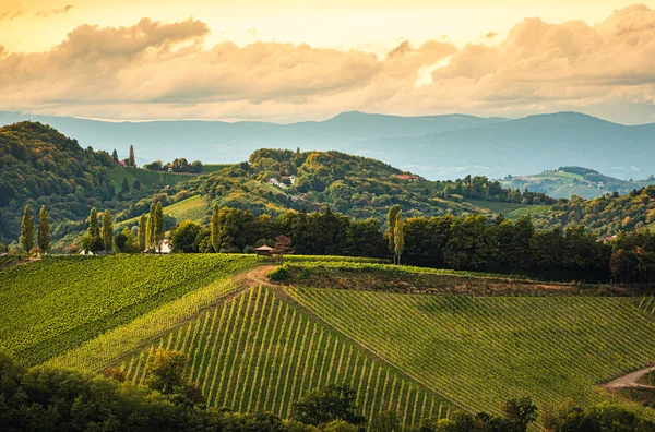 Styrian Tuscany Vineyard Autumn Eckberg Gamliz Styria Austria Tourist Spot — Stock Photo, Image