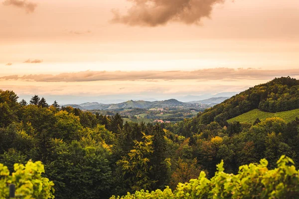 Štýrský Toskánsko Vinice Podzim Eckbergu Gamliz Štýrsko Rakousko Turistické Místo — Stock fotografie