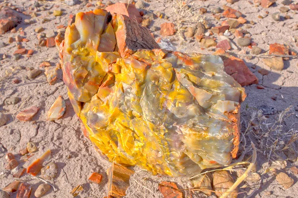 含黄色茉莉花 奥尼克斯和乳白色石英混合物的一块石化木 位于亚利桑那州石化森林公园内 — 图库照片