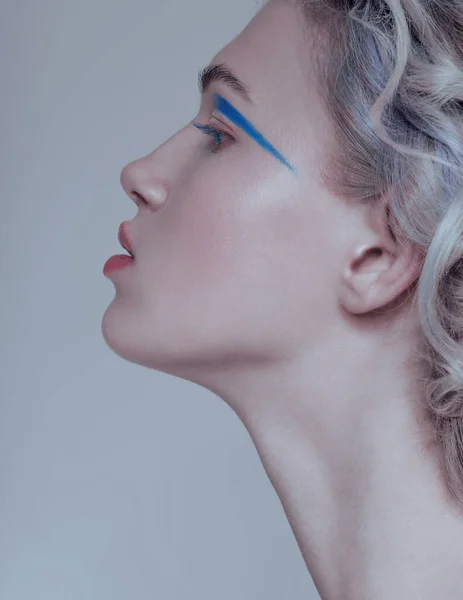 Hermoso Retrato Mujer Con Brillo Cara Cabello Blanco Plateado Piel — Foto de Stock