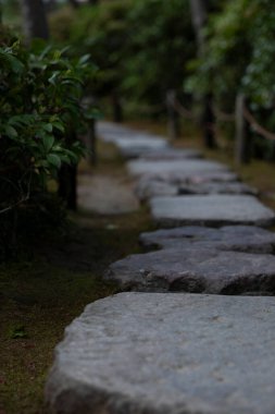 Japonya, Kyoto 'da bir Japon bahçesinde yürüyen kaya yolu.