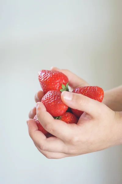 Hild Holds Handful Fresh Strawberries His Palms Close — Stock Photo, Image