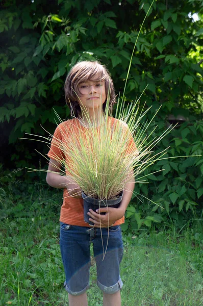 Little Boy Plant Pot Garden — Stock Photo, Image