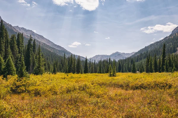 Kotlina Górska Hunter Fryingpan Wilderness Kolorado — Zdjęcie stockowe