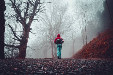 İnsan sonbahar mevsiminde sisli günlerde dağda yürür.