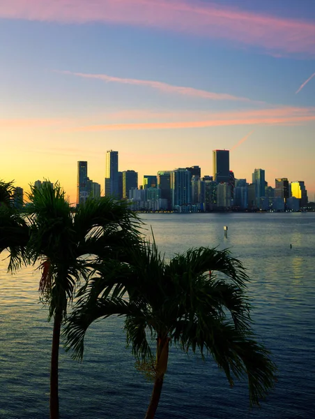 Sunset City Tropical Place Sea Skyline Miami Florida Buildings — Stock Photo, Image