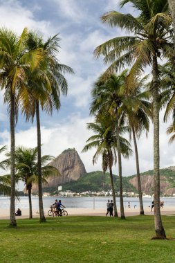 Brezilya Rio de Janeiro 'daki palmiye ağaçları ve Sugar Loaf Dağı' na güzel bir manzara
