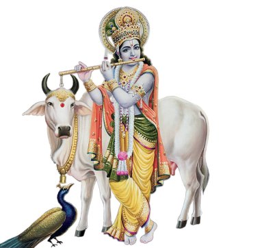 Hint Tanrısı Lord Krishna Yüksek Çözünürlüklü Çizim